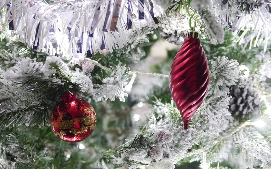 Christmas Tree Baubles Photograph by John Chatterley - Fine Art America