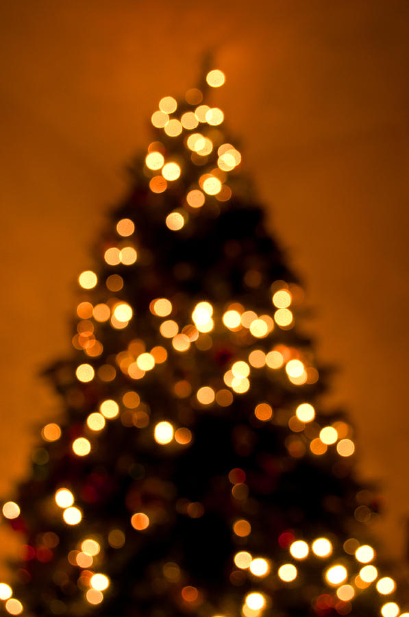 Christmas Photograph - Christmas Tree bokeh by Photos By  Cassandra