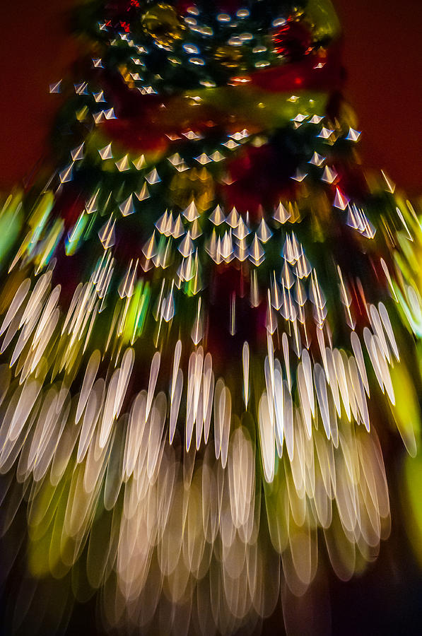 Christmas Tree Photograph by Celso Bressan