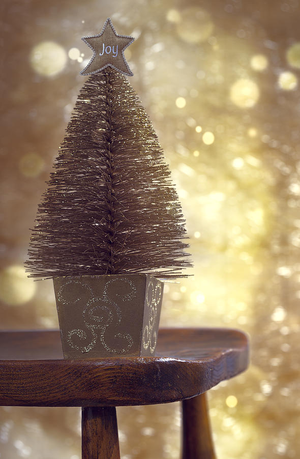 Christmas Photograph - Christmas Tree by Amanda Elwell