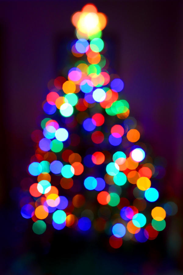 Christmas Tree Photograph by Clint Buhler