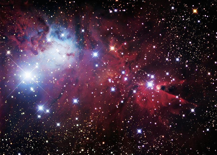 Space Photograph - Christmas Tree Cluster (ngc 2264) by Robert Gendler/science Photo Library