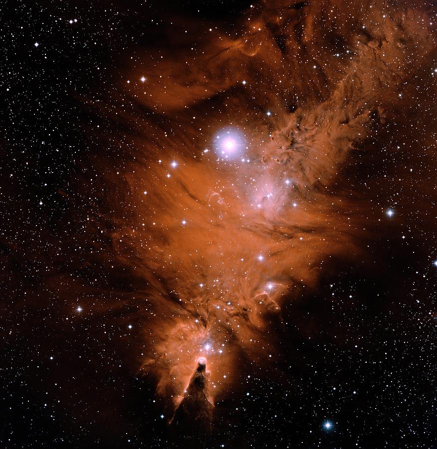 Christmas Tree Cluster Photograph by Noao/aura/nsf/science Photo Library