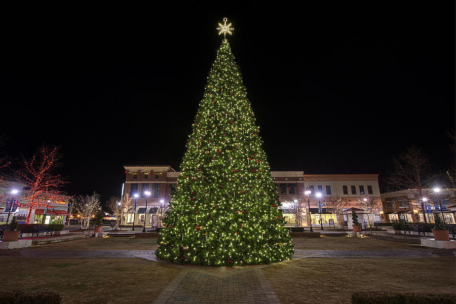 Christmas Photograph - Christmas Tree Hampton City Center  by Greg Hager