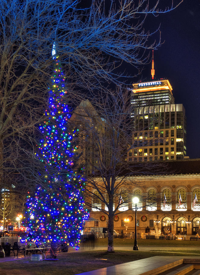 Christmas Tree in Copley Square Photograph by Joann Vitali