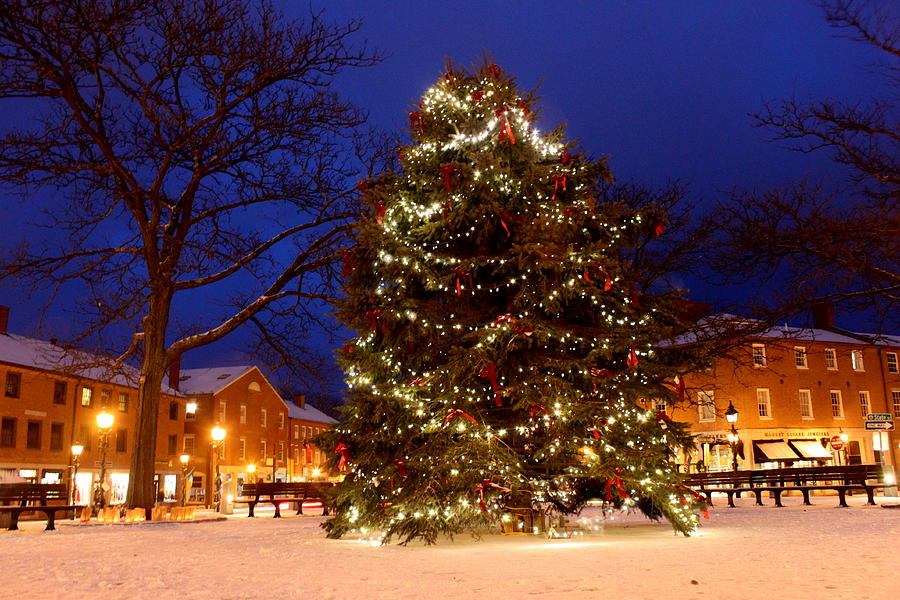Christmas Tree in Market Square Photograph by Suzanne DeGeorge