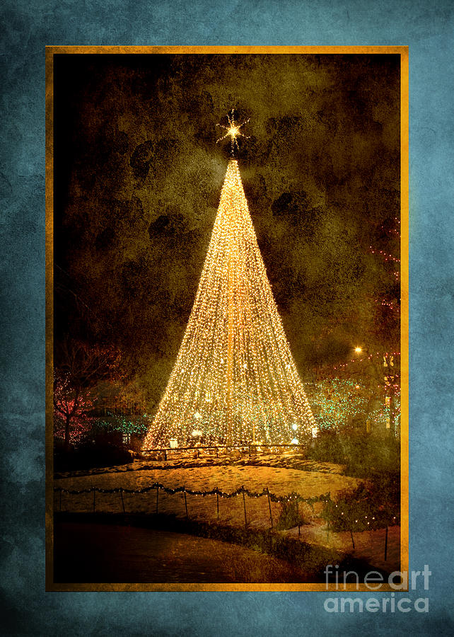Christmas Photograph - Christmas Tree in the City by Cindy Singleton