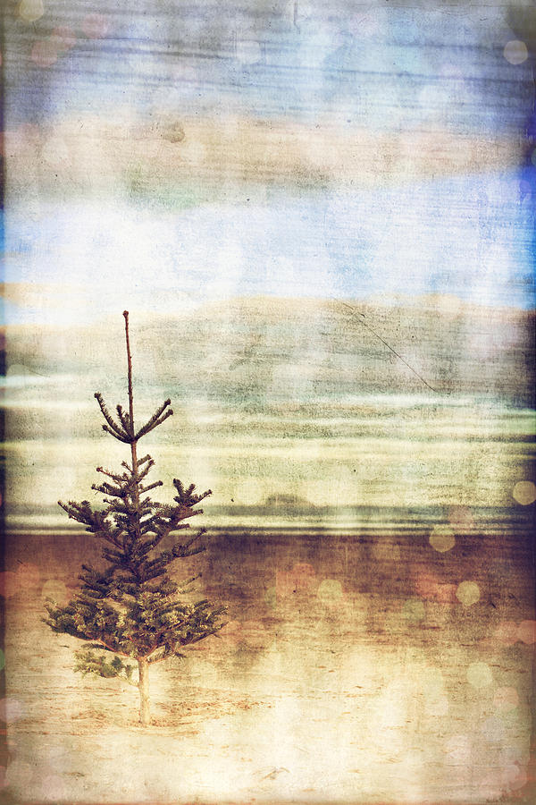 Christmas tree Photograph by Innershadows Photography - Fine Art America