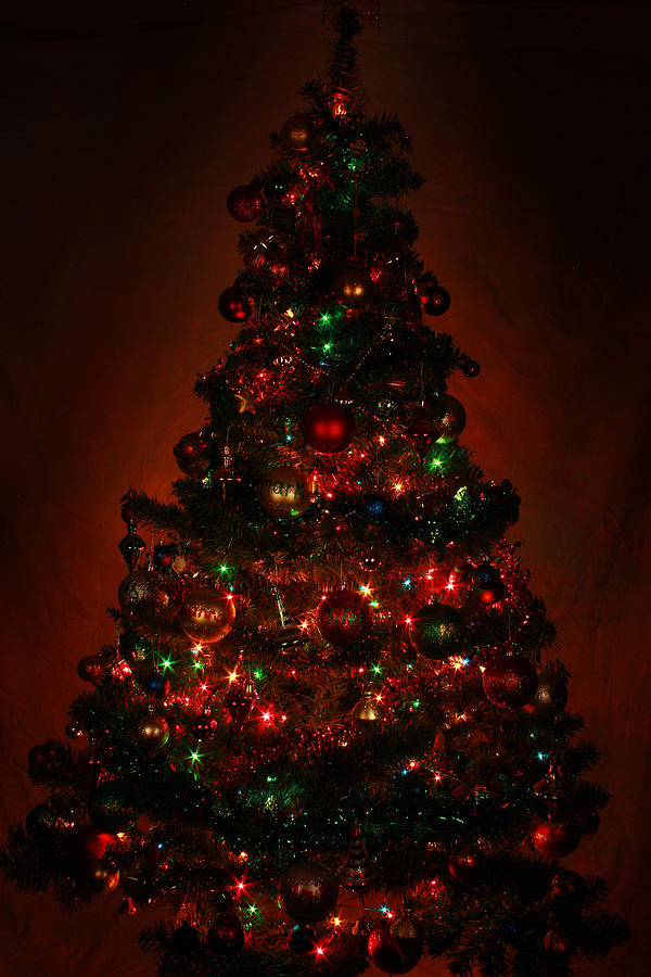 Christmas Tree Photograph by Keith Hawley