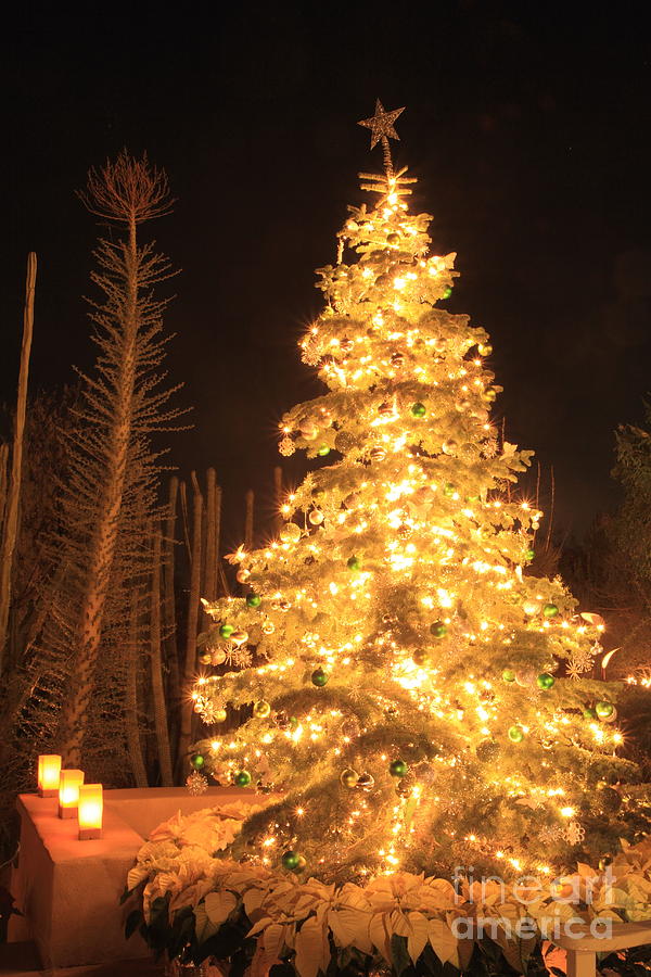 Christmas Tree Lights Photograph by Boon Mee