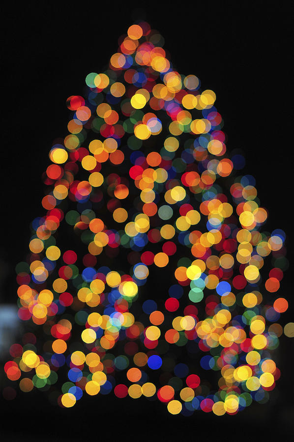 Christmas Tree Lights Photograph by Terry DeLuco