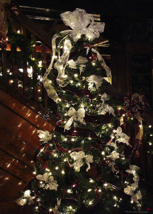 Christmas Tree Oh Christmas Tree Photograph by Rhonda McDougall