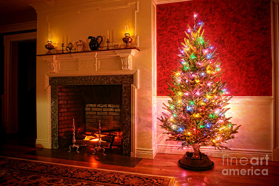 Christmas Photograph - Christmas Tree by Olivier Le Queinec