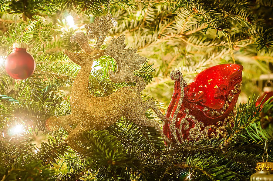 Christmas Tree Ornaments Photograph by Alex Grichenko