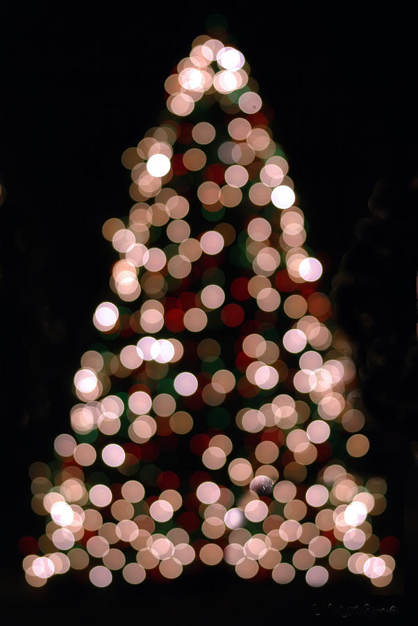 Christmas Tree Out Of Focus Photograph by Alex Grichenko
