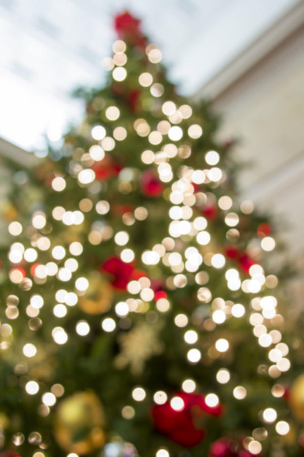 Christmas Tree Perspective Blurred Background Photograph by Jit Lim - Fine  Art America