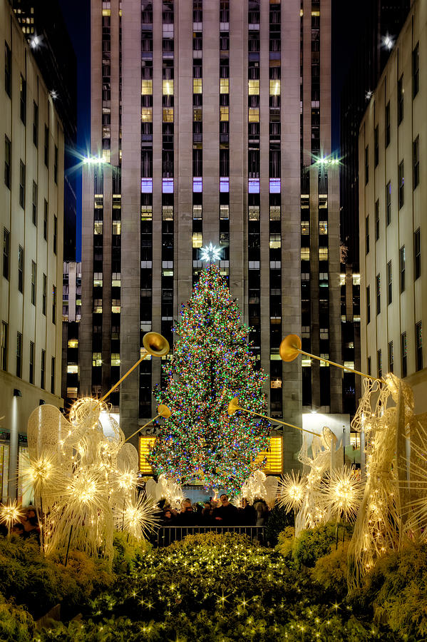 Christmas Tree Rockefeller Center  NYC Photograph by Susan Candelario
