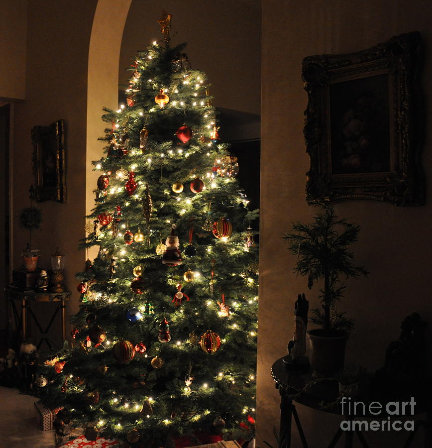 Christmas Tree Photograph by Tatyana Searcy