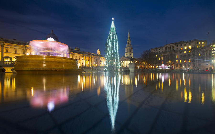 Christmas  Tree Trafalgar Square Photograph by David French