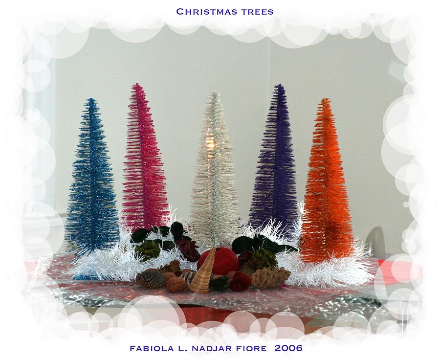 Christmas Trees Photograph by Fabiola L Nadjar Fiore