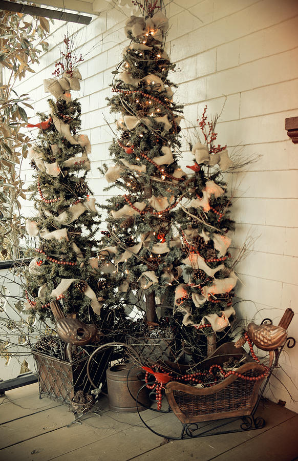 Christmas Photograph - Christmas Trees of the Past by Laurie Perry