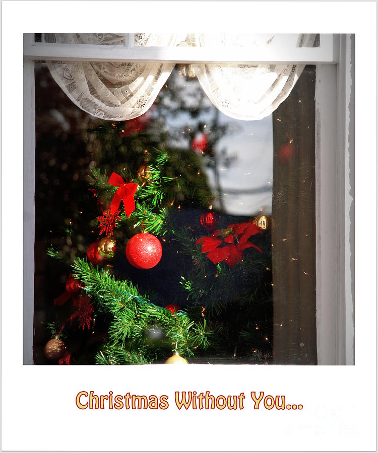 Christmas Without You... Photograph by Susanne Van Hulst