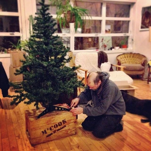 Christmastree Photograph - #christmastree Time! Lark Found This by Oh Snap