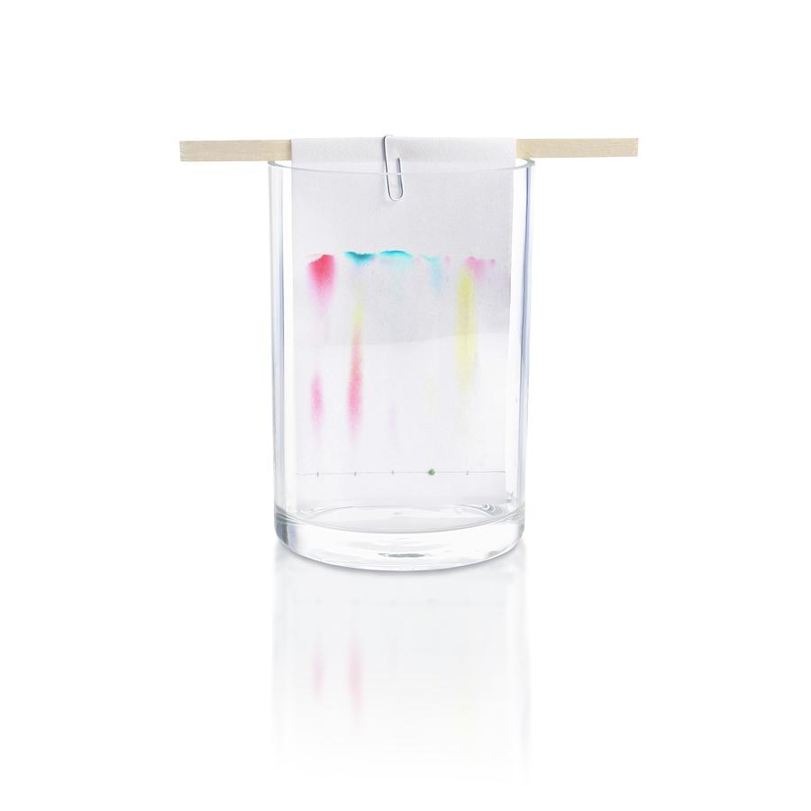 Chromatography Of Filter Tip Pen Inks Photograph by Science Photo Library