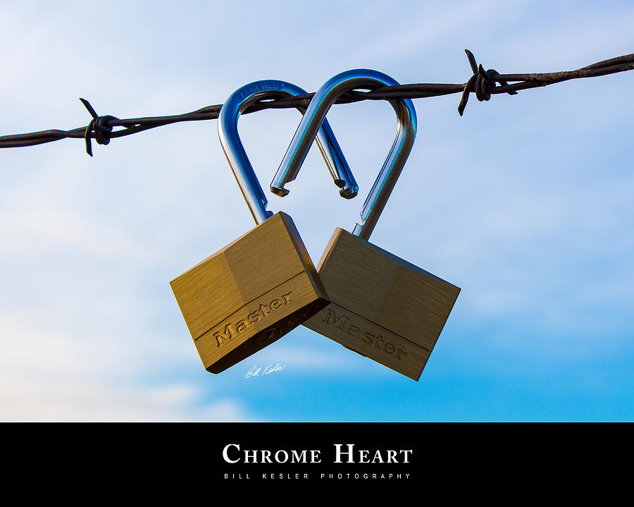 Chrome Heart with Title Photograph by Bill Kesler