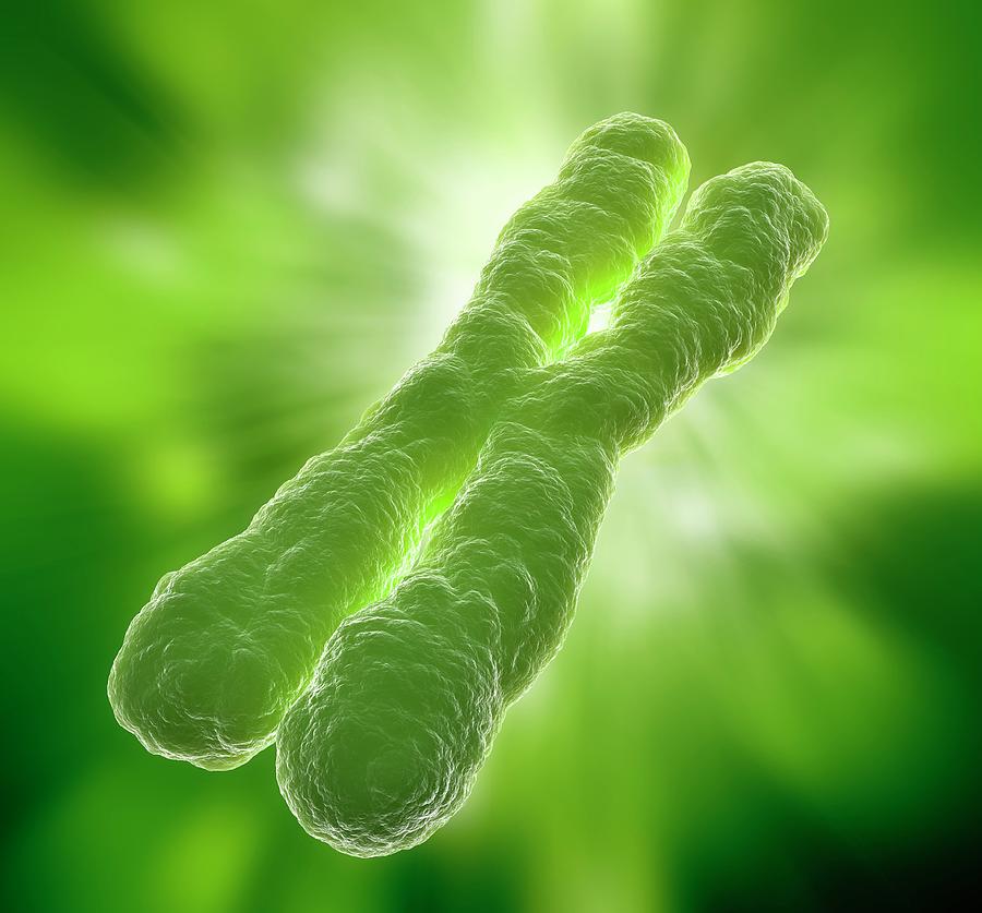 Chromosome, Artwork Digital Art by Andrzej Wojcicki