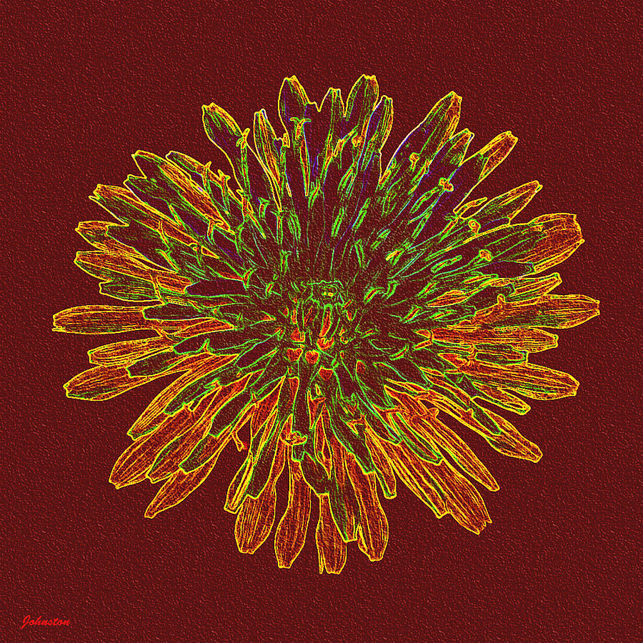 Nature Painting - Chrysanthemum Fire by Bob and Nadine Johnston