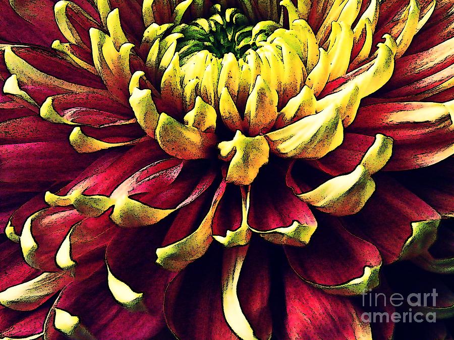 Chrysanthemum in Red and by Sarah Loft Pixels