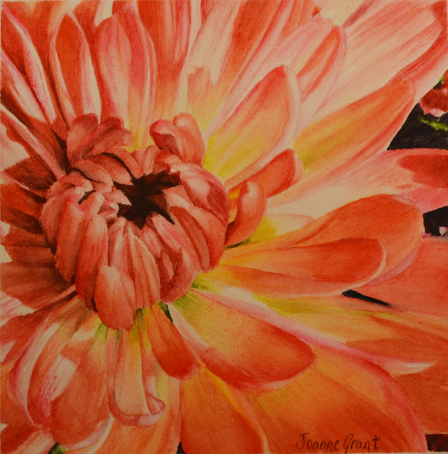 Chrysanthemum Painting by Joanne Grant