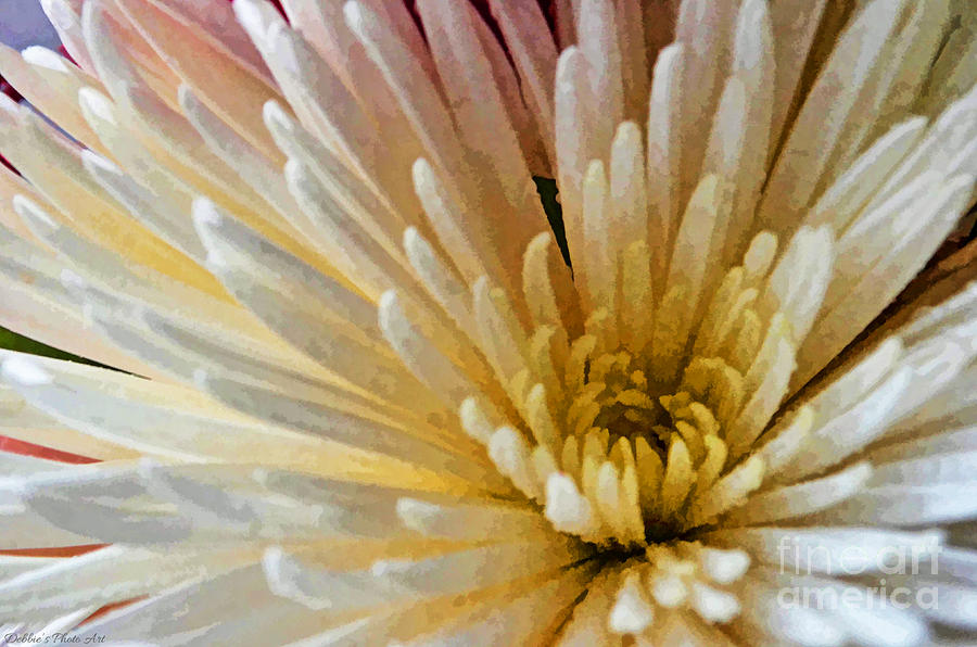 Chrysanthemum Macro Digital Paint Photograph by Debbie Portwood