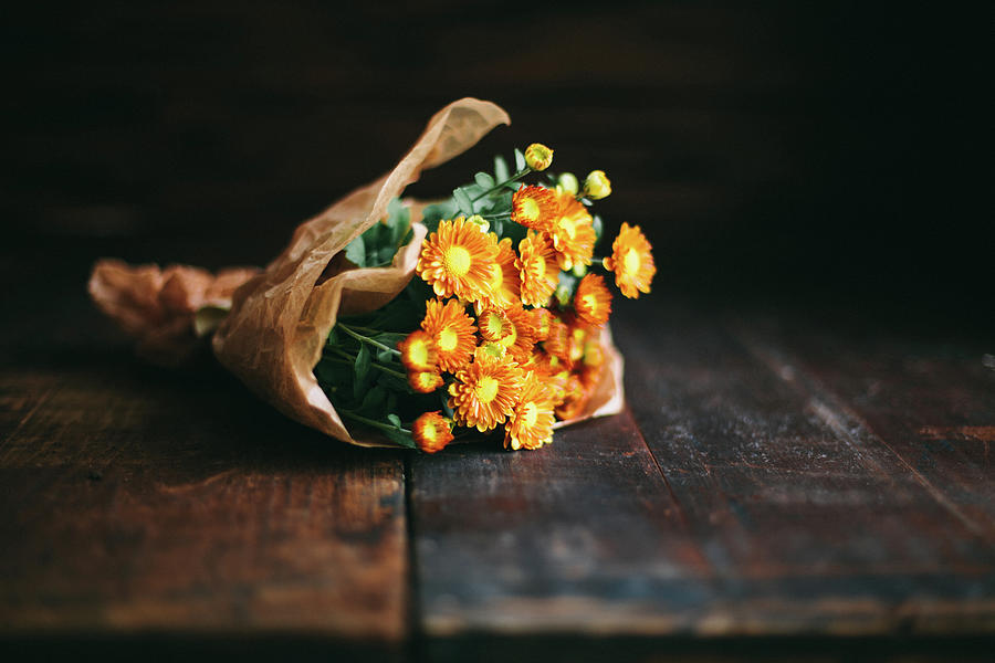 Chrysanthemums Photograph by Alina Spradley