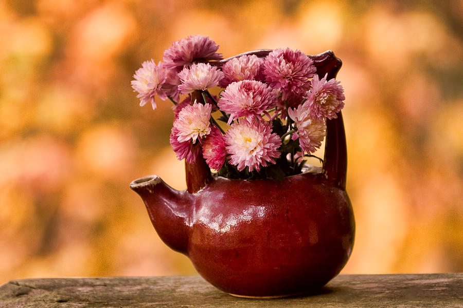 Still Life Photograph - Chrysanthemums in a Red Teapot by Peggy Collins