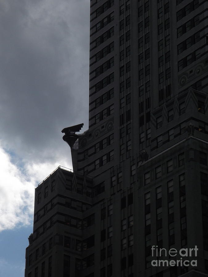 Chrysler Eagle on the Lookout Photograph by Miriam Danar