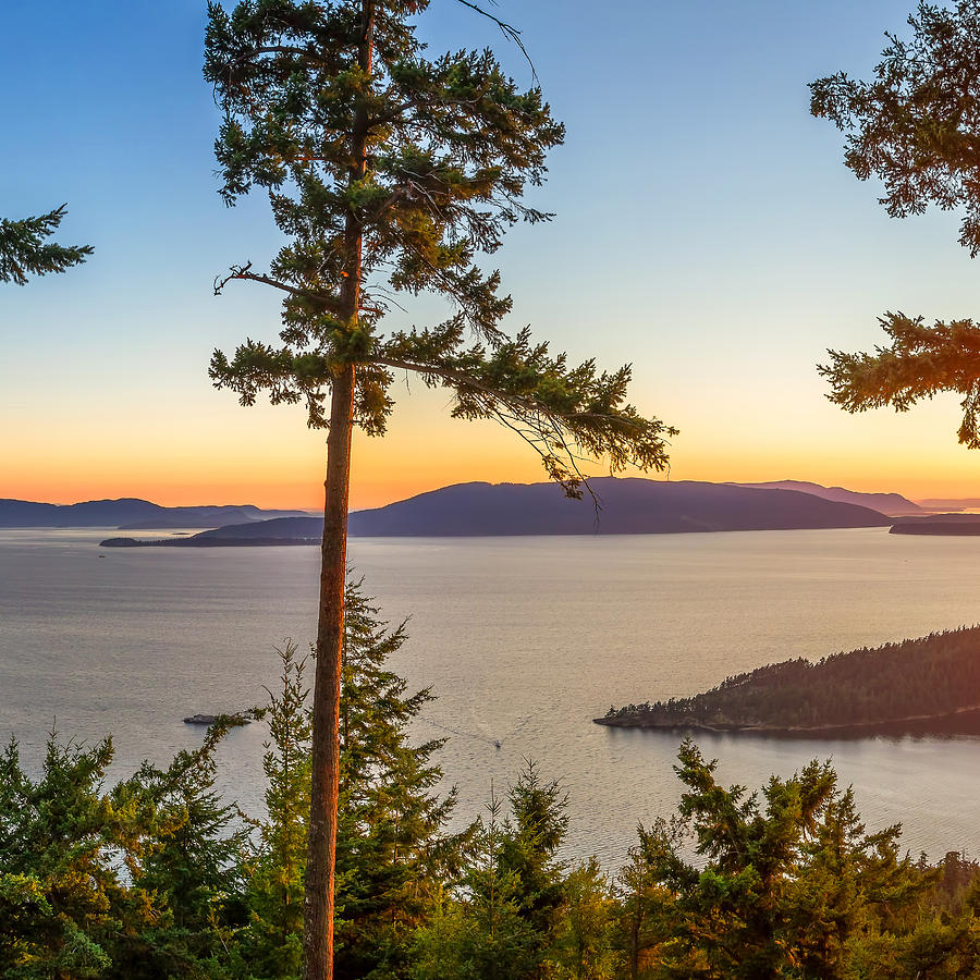 Chuckanut Photograph - Chuckanut Bay Triptych B by Jacob Knapp Chuckanut Photograph - Chuckanut Bay Triptych B by Jacob Knapp