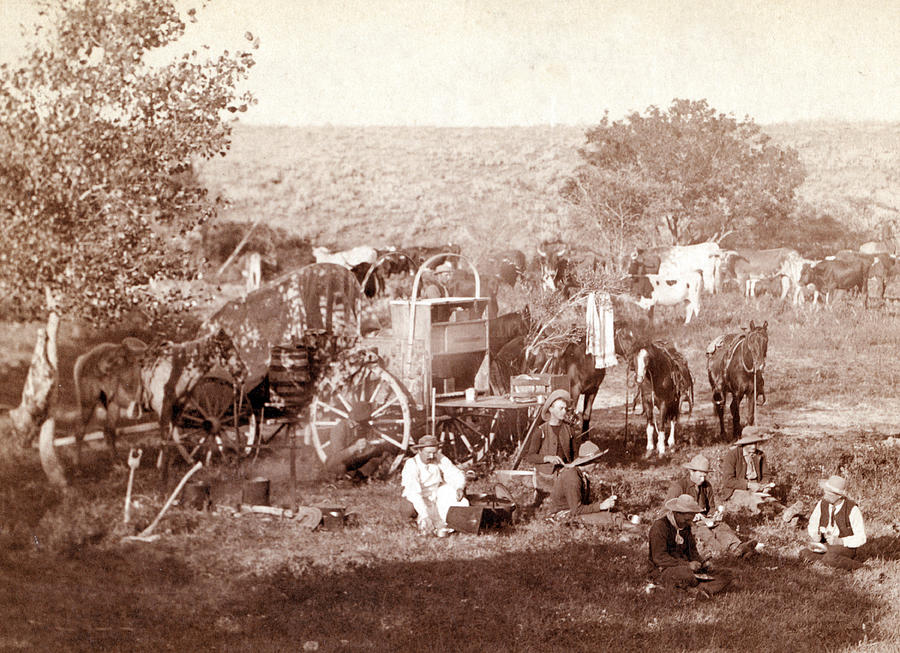 Occupation Photograph - Chuckwagon And Cowboys, 1880s by Science Source