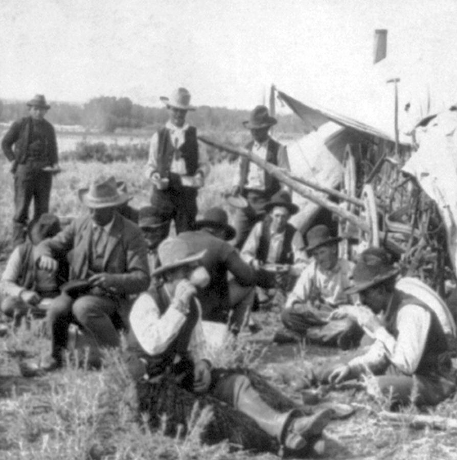 Occupation Photograph - Chuckwagon And Cowboys, 1905 by Science Source