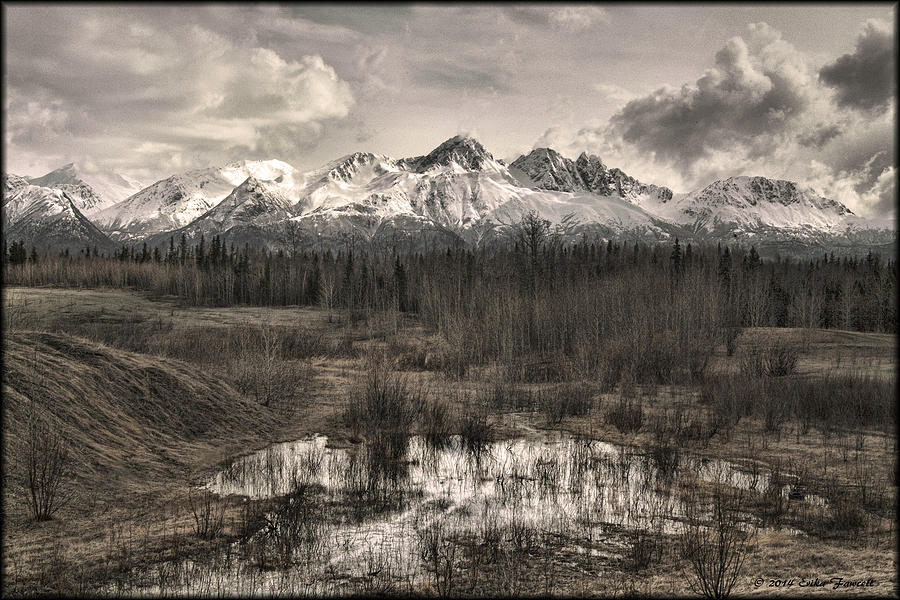 Chugach Mountain Range Photograph by Erika Fawcett
