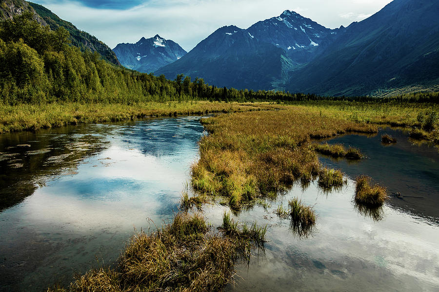 Chugach State Park Photograph By Panoramic Images Fine Art America   Chugach State Park Panoramic Images 