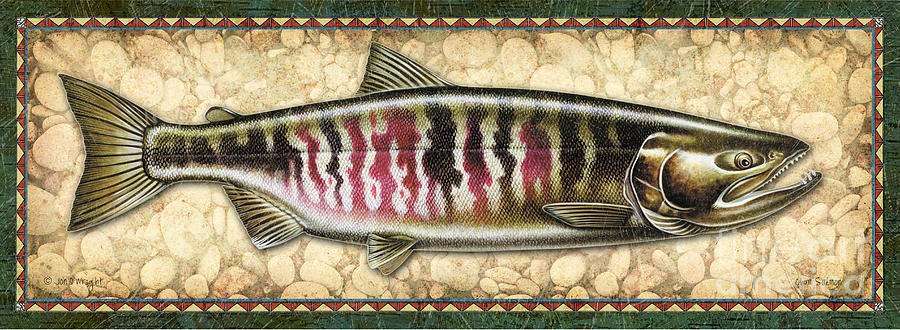 Fish Painting - Chum Salmon Spawning Pahse by JQ Licensing