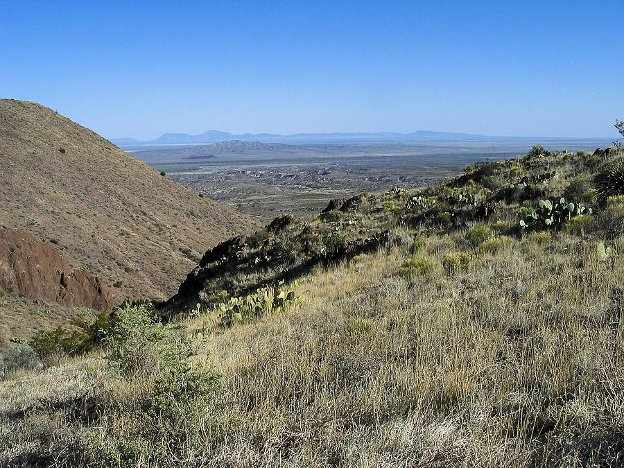 Chupederas - Bosque - New Mexico Photograph by Steven Ralser