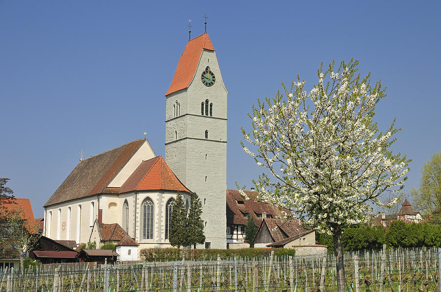 Church and blooming apple tree Photograph by Matthias Hauser