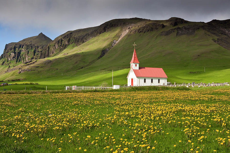 Church And Field Of Flowers by Richard I'anson