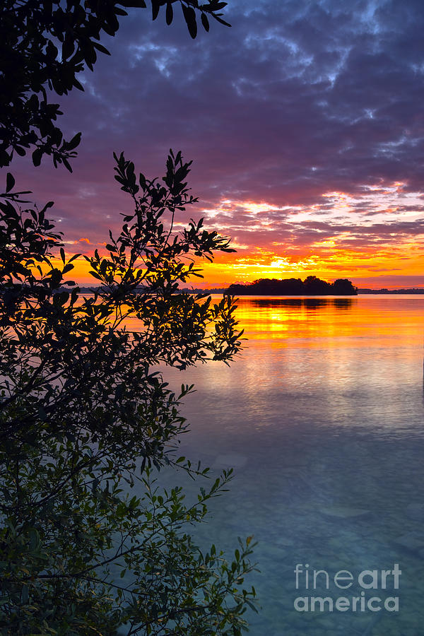 Church Island Photograph By William Cleary - Fine Art America