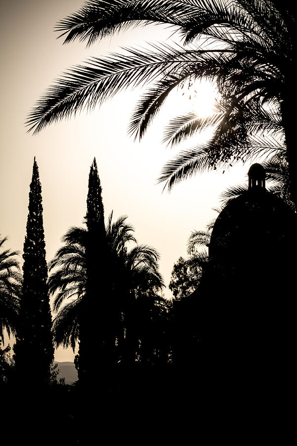 Church of the Beatitudes Silhouette Photograph by Anthony Doudt