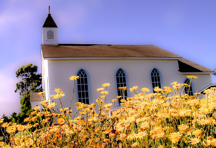 Church of the Yellow Daisies Photograph by Jim DeLillo