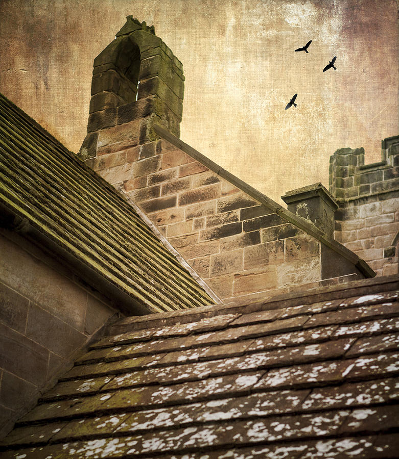 Bird Photograph - Church roofline by Peter Chadwick